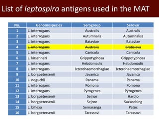 Epidemiological investigations of leptospirosis in pigs in Vietnam