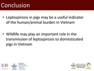 Epidemiological investigations of leptospirosis in pigs in Vietnam