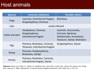 Epidemiological investigations of leptospirosis in pigs in Vietnam