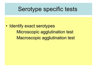 Serotype specific tests  Identify exact serotypes  Microscopic agglutination test Macroscopic agglutination test 