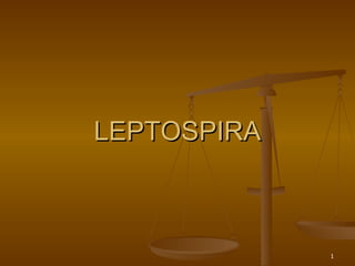 LEPTOSPIRA 