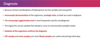 Diagnosis
• Because clinical manifestations of leptospirosis are too variable and nonspecific
• microscopic demonstration of the organisms, serologic tests, or both are used in diagnosis
• The microscopic agglutination test is most frequently used for serodiagnosis
• The organisms can be isolated from blood or urine on commercially available media
• Isolation of the organisms confirms the diagnosis
• CSF sample and urine samples are used. Blood samples are useful only during initial days
 