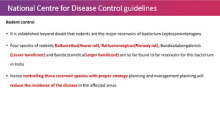 National Centre for Disease Control guidelines
Rodent control
• It is established beyond doubt that rodents are the major reservoirs of bacterium Leptospirainterogans
• Four species of rodents Rattusrattus(House rat), Rattusnorvegicus(Norway rat), Bandicotabengalensis
(Lesser bandicoot) and Bandicotaindica(Larger bandicoot) are so far found to be reservoirs for this bacterium
in India
• Hence controlling these reservoir species with proper strategy planning and management planning will
reduce the incidence of the disease in the affected areas
 