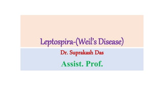 Leptospira-(Weil’s Disease)
Dr. Suprakash Das
Assist. Prof.
 