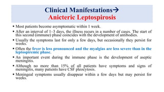Clinical Manifestations
Anicteric Leptospirosis
 Most patients become asymptomatic within 1 week.
 After an interval of 1–3 days, the illness recurs in a number of cases. The start of
this second (immune) phase coincides with the development of antibodies.
 Usually the symptoms last for only a few days, but occasionally they persist for
weeks.
 Often the fever is less pronounced and the myalgias are less severe than in the
leptospiremic phase.
 An important event during the immune phase is the development of aseptic
meningitis.
 Although no more than 15% of all patients have symptoms and signs of
meningitis, many patients have CSF pleocytosis.
 Meningeal symptoms usually disappear within a few days but may persist for
weeks.
 