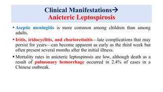 Clinical Manifestations
Anicteric Leptospirosis
 Aseptic meningitis is more common among children than among
adults.
 Iritis, iridocyclitis, and chorioretinitis—late complications that may
persist for years—can become apparent as early as the third week but
often present several months after the initial illness.
 Mortality rates in anicteric leptospirosis are low, although death as a
result of pulmonary hemorrhage occurred in 2.4% of cases in a
Chinese outbreak.
 