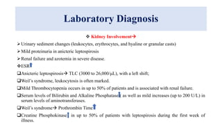 Laboratory Diagnosis
 Kidney Involvement
Urinary sediment changes (leukocytes, erythrocytes, and hyaline or granular casts)
Mild proteinuria in anicteric leptospirosis
Renal failure and azotemia in severe disease.
ESR
Anicteric leptospirosis TLC (3000 to 26,000/μL), with a left shift;
Weil’s syndrome, leukocytosis is often marked.
Mild Thrombocytopenia occurs in up to 50% of patients and is associated with renal failure.
Serum levels of Bilirubin and Alkaline Phosphatase ( as well as mild increases (up to 200 U/L) in
serum levels of aminotransferases.
Weil’s syndrome Prothrombin Time
Creatine Phosphokinase in up to 50% of patients with leptospirosis during the first week of
illness.
 