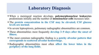 Laboratory Diagnosis
 When a meningeal reaction develops, polymorphonuclear leukocytes
predominate initially and the number of mononuclear cells increases later.
 The protein concentration in the CSF may be elevated; CSF glucose
levels are normal.
 In severe leptospirosis, pulmonary radiographic abnormalities are common.
 These abnormalities most frequently develop 3–9 days after the onset of
illness.
 The most common radiographic finding is a patchy alveolar pattern that
corresponds to scattered alveolar hemorrhage.
 Radiographic abnormalities most often affect the lower lobes in the
periphery of the lung fields.
 