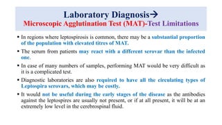 Laboratory Diagnosis
Microscopic Agglutination Test (MAT)-Test Limitations
 In regions where leptospirosis is common, there may be a substantial proportion
of the population with elevated titres of MAT.
 The serum from patients may react with a different serovar than the infected
one.
 In case of many numbers of samples, performing MAT would be very difficult as
it is a complicated test.
 Diagnostic laboratories are also required to have all the circulating types of
Leptospira serovars, which may be costly.
 It would not be useful during the early stages of the disease as the antibodies
against the leptospires are usually not present, or if at all present, it will be at an
extremely low level in the cerebrospinal fluid.
 