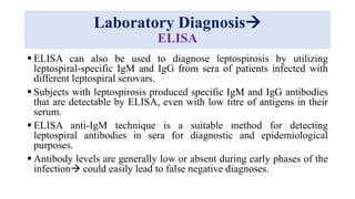 Laboratory Diagnosis
ELISA
 ELISA can also be used to diagnose leptospirosis by utilizing
leptospiral-specific IgM and IgG from sera of patients infected with
different leptospiral serovars.
 Subjects with leptospirosis produced specific IgM and IgG antibodies
that are detectable by ELISA, even with low titre of antigens in their
serum.
 ELISA anti-IgM technique is a suitable method for detecting
leptospiral antibodies in sera for diagnostic and epidemiological
purposes.
 Antibody levels are generally low or absent during early phases of the
infection could easily lead to false negative diagnoses.
 