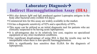 Laboratory Diagnosis
Indirect Haemagglutination Assay (IHA)
 IHA also detects IgM and IgG produced against Leptospira antigens in the
body after bacterial entry (within 4-6 days).
 Commercial kits for this assay are widely available in the market.
 IA has a diagnostic sensitivity of 92% and a specificity of 95%.
 This assay can be utilized as an initial diagnostic tool for patients who are
clinically suspected to be having acute leptospirosis.
 It is advantageous due to its relatively low cost, requires no specialized
equipment or any strict incubation conditions.
 One significant disadvantage of using IHA is that the results may not be
interpretable when there is non specific haemagglutination.
 IHA is significantly less sensitive than ELISA for the diagnosis of
leptospirosis.
 