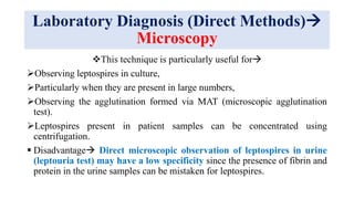 Laboratory Diagnosis (Direct Methods)
Microscopy
This technique is particularly useful for
Observing leptospires in culture,
Particularly when they are present in large numbers,
Observing the agglutination formed via MAT (microscopic agglutination
test).
Leptospires present in patient samples can be concentrated using
centrifugation.
 Disadvantage Direct microscopic observation of leptospires in urine
(leptouria test) may have a low specificity since the presence of fibrin and
protein in the urine samples can be mistaken for leptospires.
 