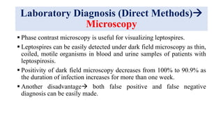 Laboratory Diagnosis (Direct Methods)
Microscopy
 Phase contrast microscopy is useful for visualizing leptospires.
 Leptospires can be easily detected under dark field microscopy as thin,
coiled, motile organisms in blood and urine samples of patients with
leptospirosis.
 Positivity of dark field microscopy decreases from 100% to 90.9% as
the duration of infection increases for more than one week.
 Another disadvantage both false positive and false negative
diagnosis can be easily made.
 