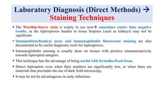 Laboratory Diagnosis (Direct Methods) 
Staining Techniques
 The Warthin-Starry stain is widely in use now sometimes confer false negative
results, as the leptospirosis burden in tissue biopsies (such as kidneys) may not be
significant.
 Immunohistochemical assay and immunoglobulin fluorescent staining are also
documented to be useful diagnostic tools for leptospirosis.
 Immunoglobulin staining is usually done on tissues with positive immunoreactivity
towards leptospiral antigens.
 This technique has the advantage of being useful with formalin-fixed tissue.
 Detect leptospires even when their numbers are significantly low, or when there are
materials that precludes the use of dark field microscopy.
 It may be not be advantageous in early infections.
 