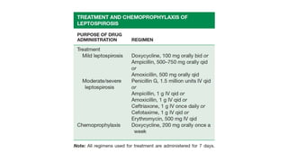 Leptospira weil's disease