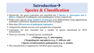 Introduction
Species & Classification
 Historically, the genus Leptospira was classified into 2 Species, L. interrogans and L.
biflexa, composed of pathogenic and nonpathogenic strains, respectively.
 Within each species, large numbers of serovars were differentiated using agglutinating
antibodies conferred by lipopolysaccharide (LPS) O-antigens.
 More than 250 serovars of pathogenic leptospires
 Antigenically related serovars were grouped into serogroups.
 Leptospires are now classified into a number of species determined by DNA
reassociation.
 There are currently 23 named species, including
Pathogens (e.g., L. interrogans),
Nonpathogenic saprophytes (e.g., L. biflexa), and
Species of indeterminate pathogenicity (e.g., L. inadai).
 This classification is supported by 16S RNA gene sequencing.
 