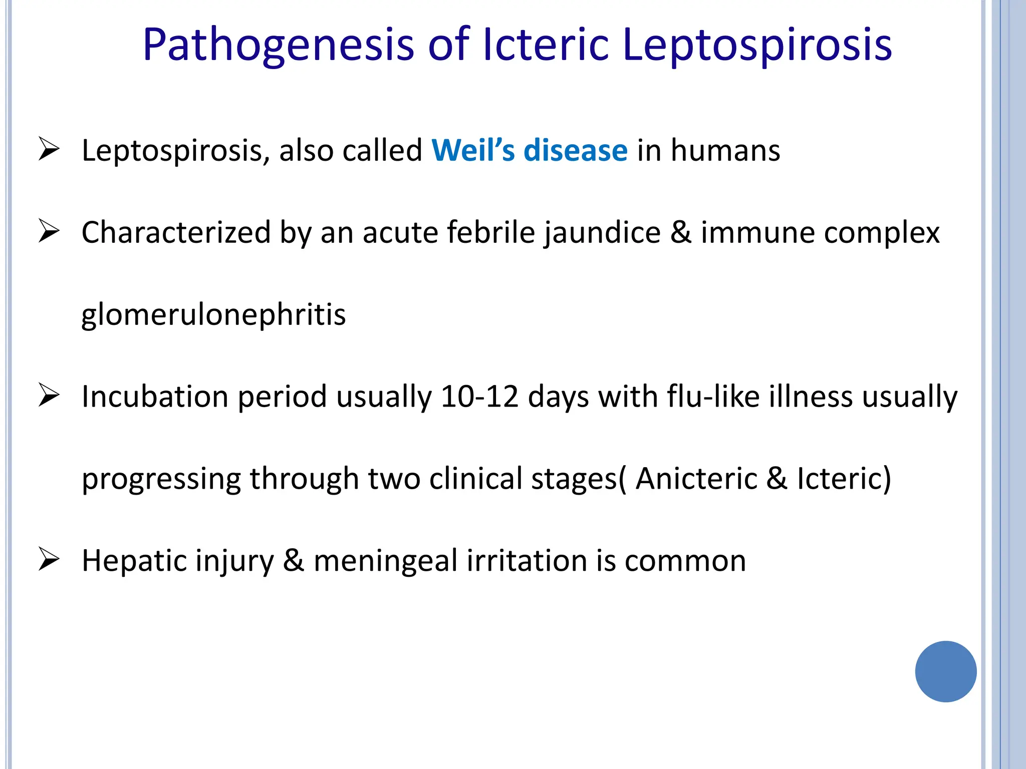 Leptospirosis and Borrelia infection.ppt