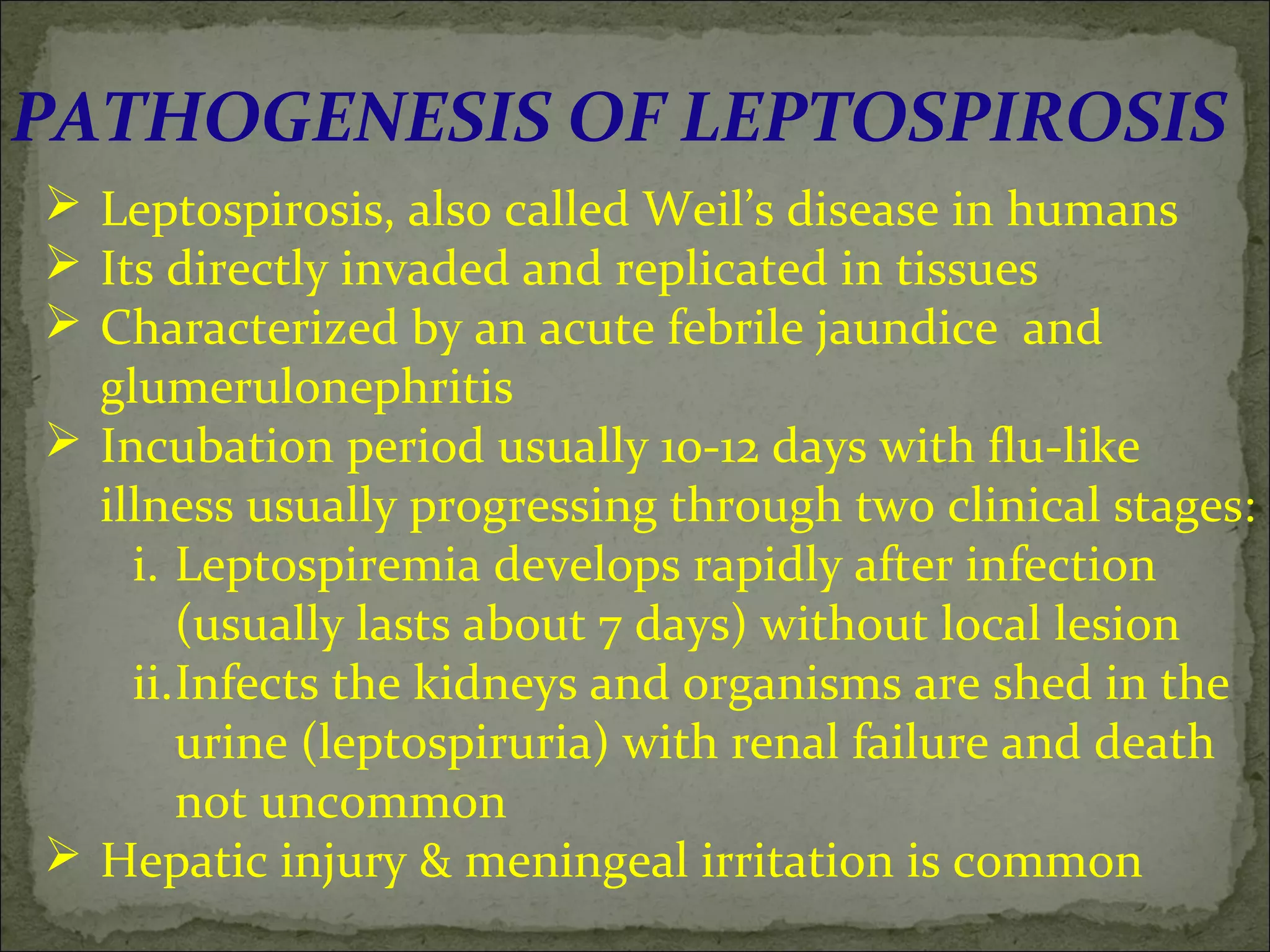 PATHOGENESIS OF LEPTOSPIROSIS
 Leptospirosis, also called Weil’s disease in humans
 Its directly invaded and replicated in tissues
 Characterized by an acute febrile jaundice and
  glumerulonephritis
 Incubation period usually 10-12 days with flu-like
  illness usually progressing through two clinical stages:
    i. Leptospiremia develops rapidly after infection
       (usually lasts about 7 days) without local lesion
    ii.Infects the kidneys and organisms are shed in the
       urine (leptospiruria) with renal failure and death
       not uncommon
 Hepatic injury & meningeal irritation is common
 