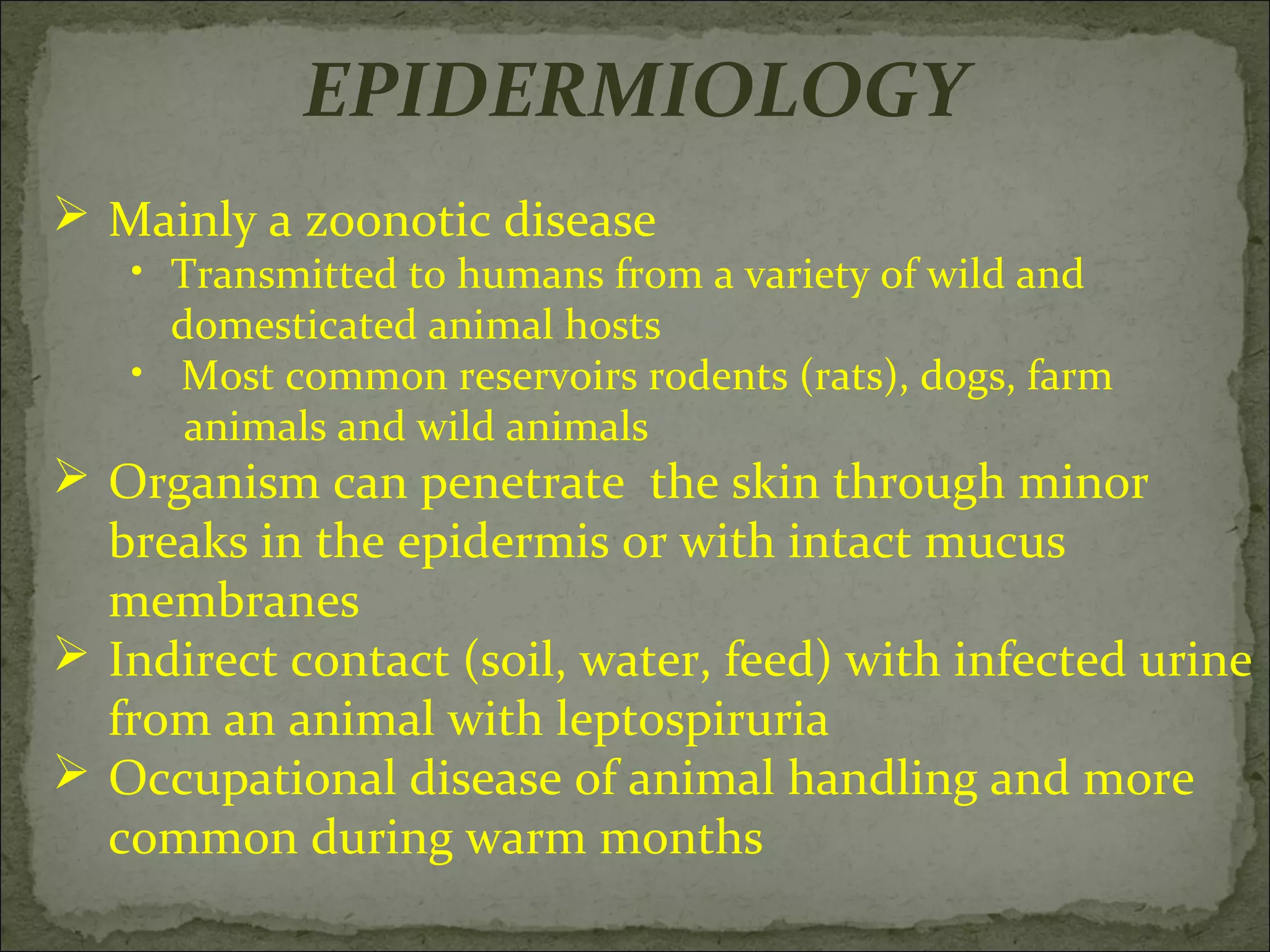 EPIDERMIOLOGY
 Mainly a zoonotic disease
   • Transmitted to humans from a variety of wild and
     domesticated animal hosts
   • Most common reservoirs rodents (rats), dogs, farm
      animals and wild animals
 Organism can penetrate the skin through minor
  breaks in the epidermis or with intact mucus
  membranes
 Indirect contact (soil, water, feed) with infected urine
  from an animal with leptospiruria
 Occupational disease of animal handling and more
  common during warm months
 