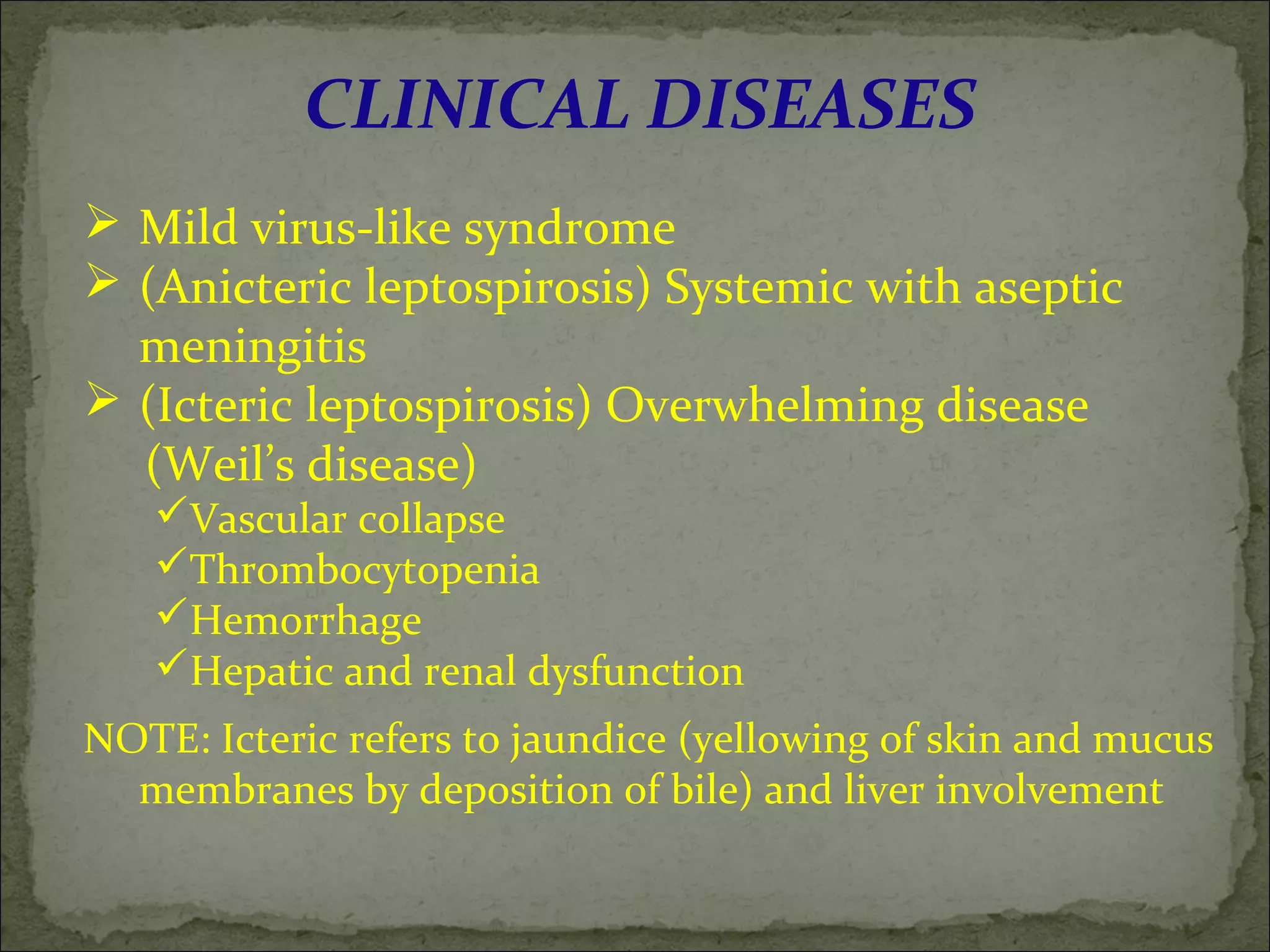 CLINICAL DISEASES
 Mild virus-like syndrome
 (Anicteric leptospirosis) Systemic with aseptic
  meningitis
 (Icteric leptospirosis) Overwhelming disease
  (Weil’s disease)
   Vascular collapse
   Thrombocytopenia
   Hemorrhage
   Hepatic and renal dysfunction
NOTE: Icteric refers to jaundice (yellowing of skin and mucus
  membranes by deposition of bile) and liver involvement
 