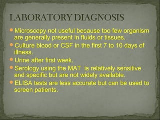 Microscopy not useful because too few organism
 are generally present in fluids or tissues.
Culture blood or CSF in the first 7 to 10 days of
 illness.
Urine after first week.
Serology using the MAT is relatively sensitive
 and specific but are not widely available.
ELISA tests are less accurate but can be used to
 screen patients.
 