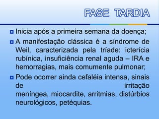 FASE TARDIA
 Inicia após a primeira semana da doença;
 A manifestação clássica é a síndrome de
  Weil, caracterizada pela tríade: icterícia
  rubínica, insuficiência renal aguda – IRA e
  hemorragias, mais comumente pulmonar;
 Pode ocorrer ainda cefaléia intensa, sinais
  de                                 irritação
  meníngea, miocardite, arritmias, distúrbios
  neurológicos, petéquias.
 