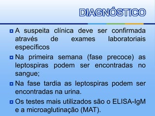 DIAGNÓSTICO
 A suspeita clínica deve ser confirmada
  através     de     exames     laboratoriais
  específicos
 Na primeira semana (fase precoce) as
  leptospiras podem ser encontradas no
  sangue;
 Na fase tardia as leptospiras podem ser
  encontradas na urina.
 Os testes mais utilizados são o ELISA-IgM
  e a microaglutinação (MAT).
 