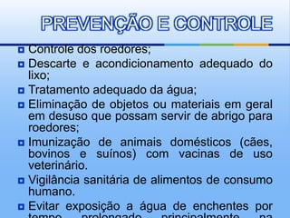  Controle dos roedores;
 Descarte e acondicionamento adequado do
lixo;
 Tratamento adequado da água;
 Eliminação de objetos ou materiais em geral
em desuso que possam servir de abrigo para
roedores;
 Imunização de animais domésticos (cães,
bovinos e suínos) com vacinas de uso
veterinário.
 Vigilância sanitária de alimentos de consumo
humano.
 Evitar exposição a água de enchentes por
PREVENÇÃO E CONTROLE
 