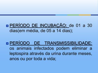  PERÍODO DE INCUBAÇÃO: de 01 a 30
dias(em média, de 05 a 14 dias);
 PERÍODO DE TRANSMISSIBILIDADE:
os animais infectados podem eliminar a
leptospira através da urina durante meses,
anos ou por toda a vida;
 
