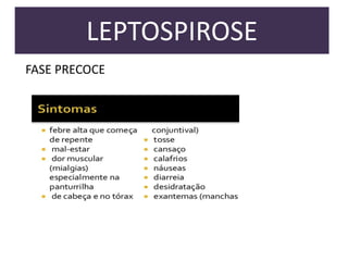 LEPTOSPIROSE
FASE PRECOCE

 