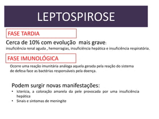 LEPTOSPIROSE
FASE TARDIA
Cerca de 10% com evolução mais grave:
insuficiência renal aguda , hemorragias, insuficiência hepática e insuficiência respiratória.

FASE IMUNOLÓGICA
Ocorre uma reação imunitária análoga aquela gerada pela reação do sistema
de defesa face as bactérias responsáveis pela doença.

Podem surgir novas manifestações:
• Icterícia, a coloração amarela da pele provocada por uma insuficiência
hepática
• Sinais e sintomas de meningite

 