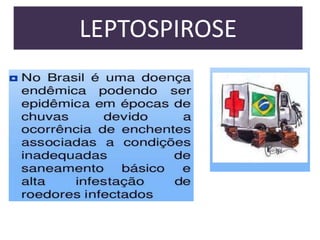 LEPTOSPIROSE

 