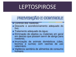 LEPTOSPIROSE

 