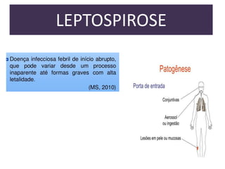 LEPTOSPIROSE

 