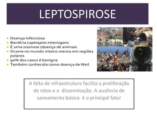LEPTOSPIROSE

A falta de infraestrutura facilita a proliferação
de ratos e a disseminação. A ausência de
saneamento básico é o principal fator

 