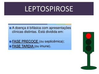 LEPTOSPIROSE

 