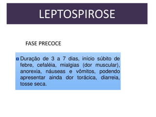 LEPTOSPIROSE
FASE PRECOCE

 