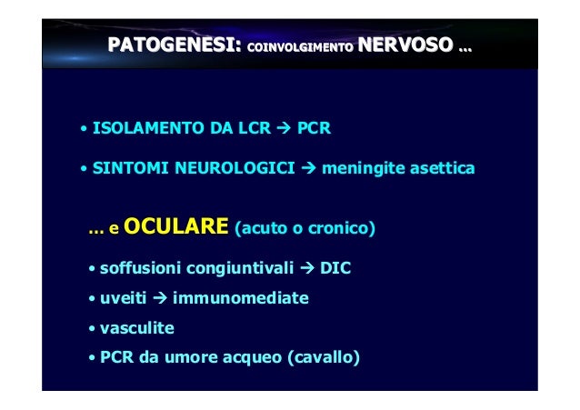 La malattia varicosity di gambe come trattare
