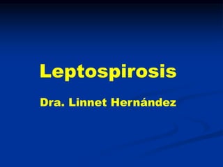 Leptospirosis
Dra. Linnet Hernández
 