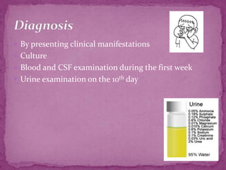 By presenting clinical manifestationsCulture Blood and CSF examination during the first week Urine examination on the 10th dayDiagnosis