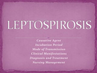 LEPTOSPIROSIS Causative Agent Incubation Period Mode of Transmission Clinical Manifestations Diagnosis and Treatment Nursing Management 