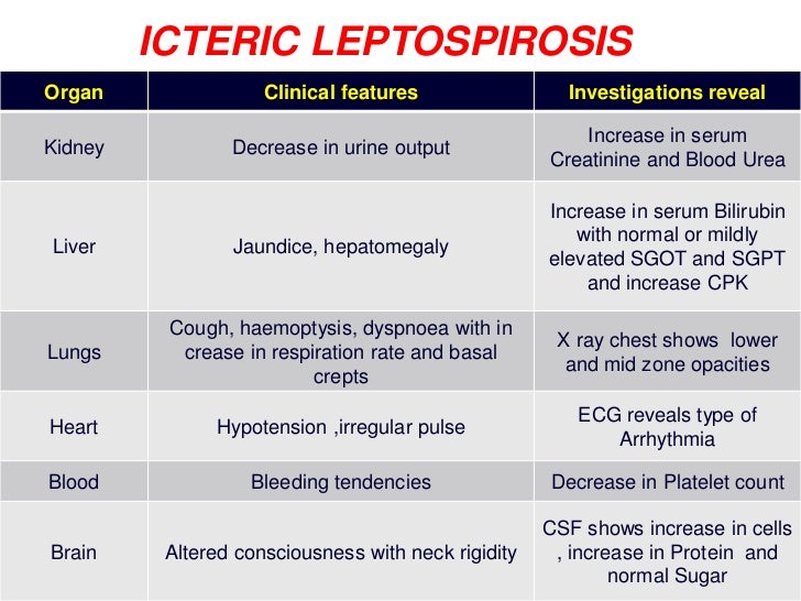Leptospirosis