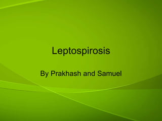 Leptospirosis By Prakhash and Samuel 