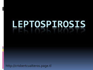 LEPTOSPIROSIS


http://crisbertcualteros.page.tl
 