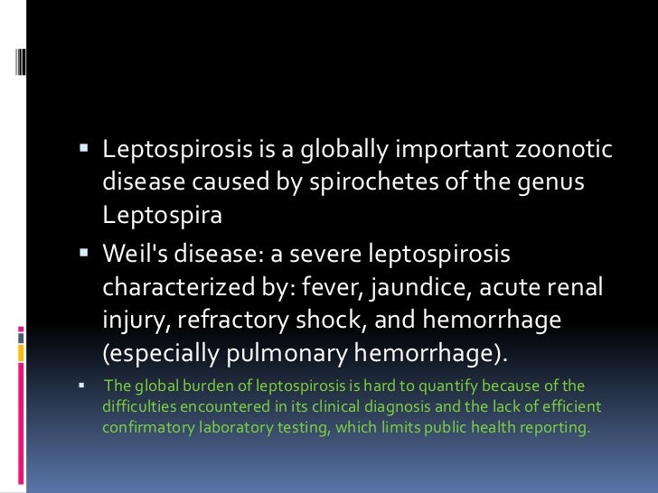 Leptospirosis Clinical Manifestations, Diagnosis, Treatment and Preve…