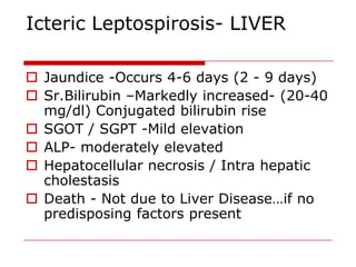 Icteric Leptospirosis- LIVER

 Jaundice -Occurs 4-6 days (2 - 9 days)
 Sr.Bilirubin –Markedly increased- (20-40
  mg/dl) Conjugated bilirubin rise
 SGOT / SGPT -Mild elevation
 ALP- moderately elevated
 Hepatocellular necrosis / Intra hepatic
  cholestasis
 Death - Not due to Liver Disease…if no
  predisposing factors present
 