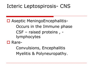 Icteric Leptospirosis- CNS

 Aseptic MeningoEncephalitis-
    Occurs in the Immune phase
    CSF – raised proteins , -
    lymphocytes
 Rare-
    Convulsions, Encephalitis
    Myelitis & Polyneuropathy.
 