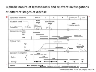 Biphasic nature of leptospirosis and relevant investigations
at different stages of disease




                                      Clin Microbiol Rev. 2001 Apr;14(2):296-326
 