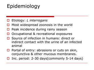 Epidemiology

 Etiology: L interrogans
 Most widespread zoonosis in the world
 Peak incidence during rainy season
 Occupational & recreational exposures
 Source of infection in humans: direct or
  indirect contact with the urine of an infected
  animal
 Portal of entry: abrasions or cuts on skin,
  conjunctiva & other mucous membranes.
 Inc. period: 2-30 days(commonly 5-14 days)
 