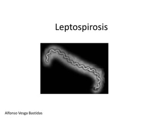 Leptospirosis




Alfonso Vesga Bastidas
 
